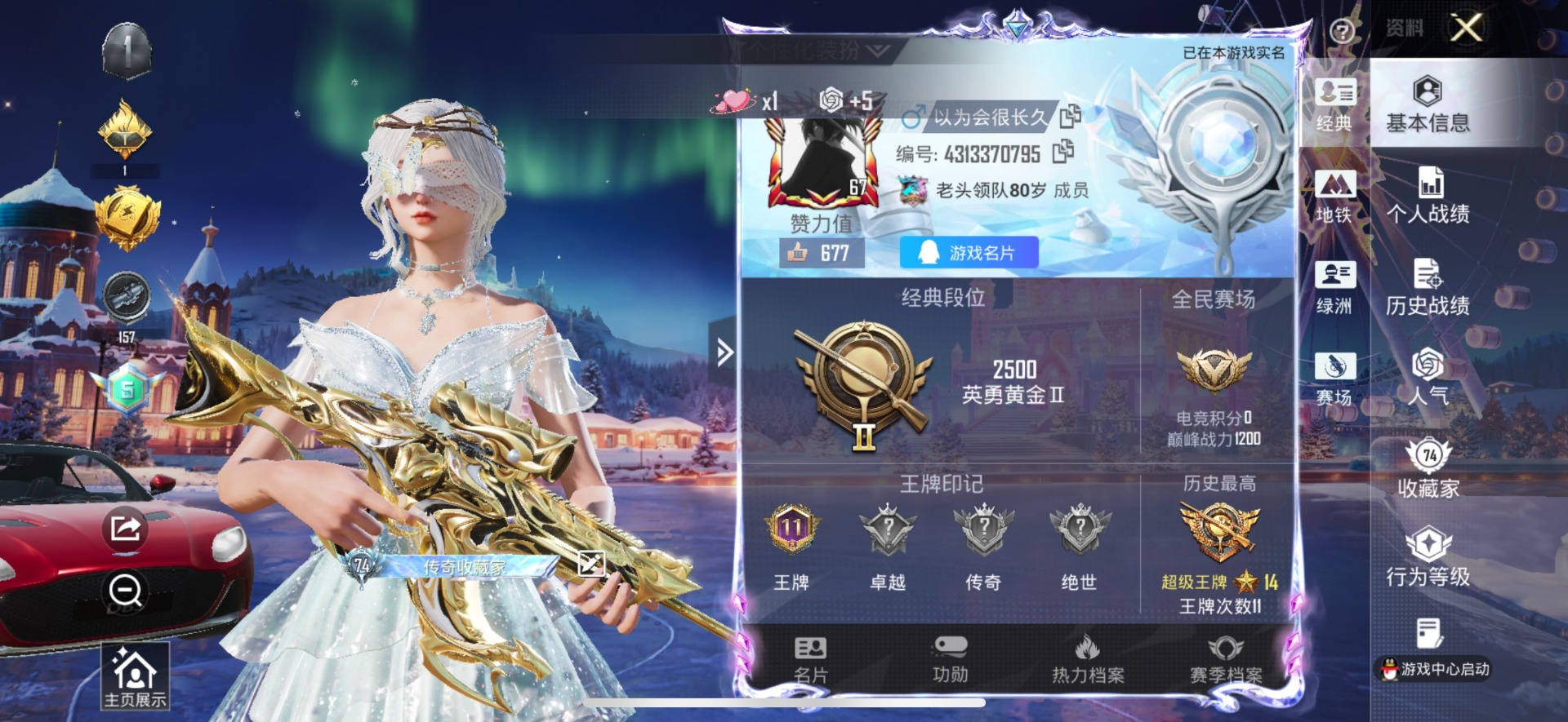 和平精英账号苹果QQ1载具-231套装-265枪皮-[]8粉装 7特效枪 1载具 11印记 可二次 
【热门装扮】雪月幻