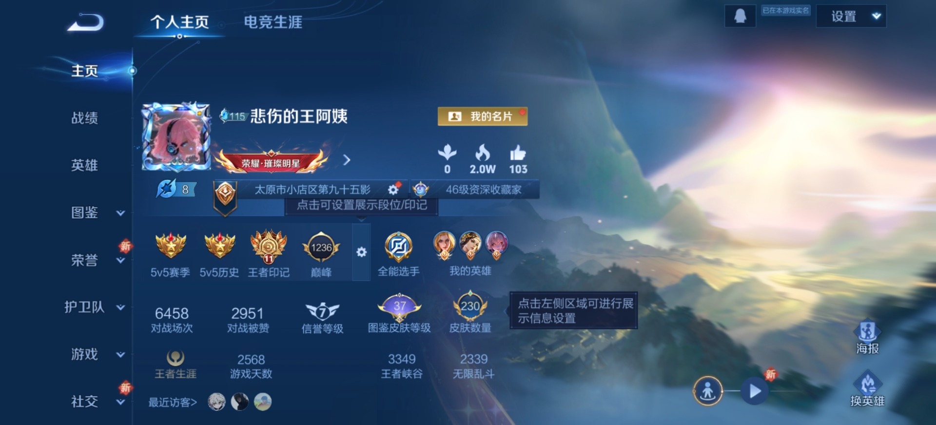 WZQM443577王者荣耀账号详情图17