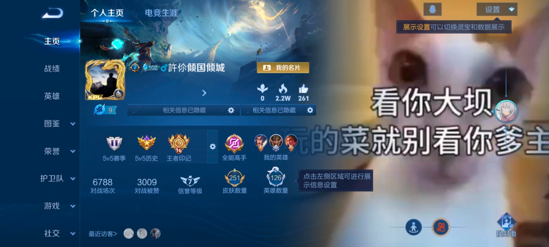 WZQM445479王者荣耀账号详情图6