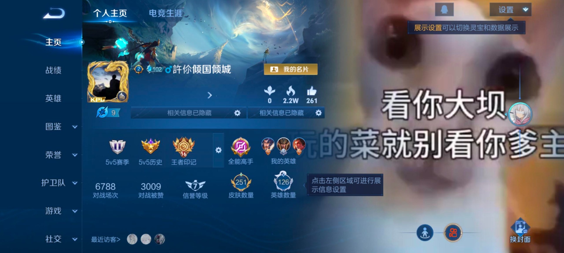 WZQM445479王者荣耀账号详情图14