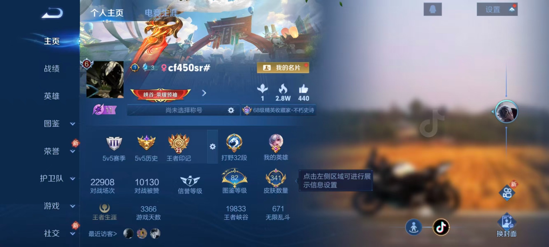 WZCMW445850王者荣耀账号详情图17