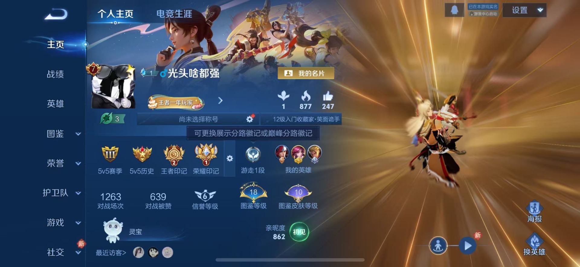 WZQM446076王者荣耀账号详情图14