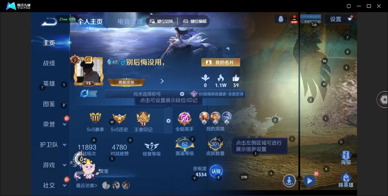 WZQM446196王者荣耀账号详情图5