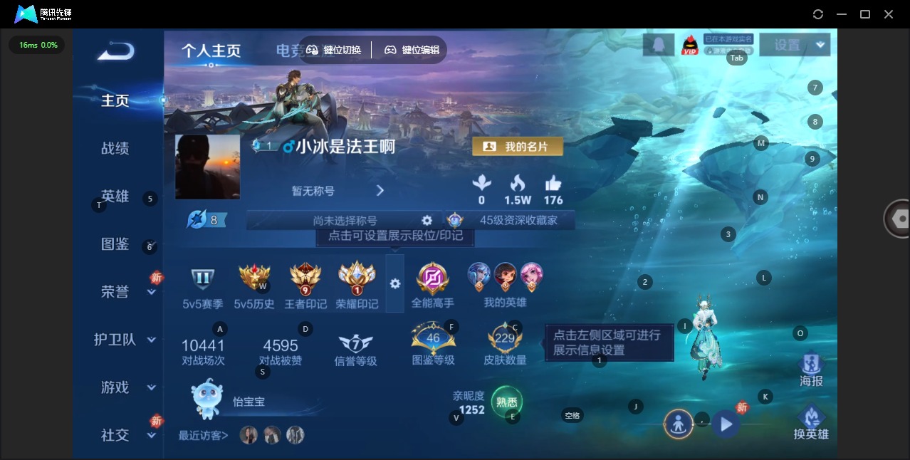 WZQM446850王者荣耀账号详情图5