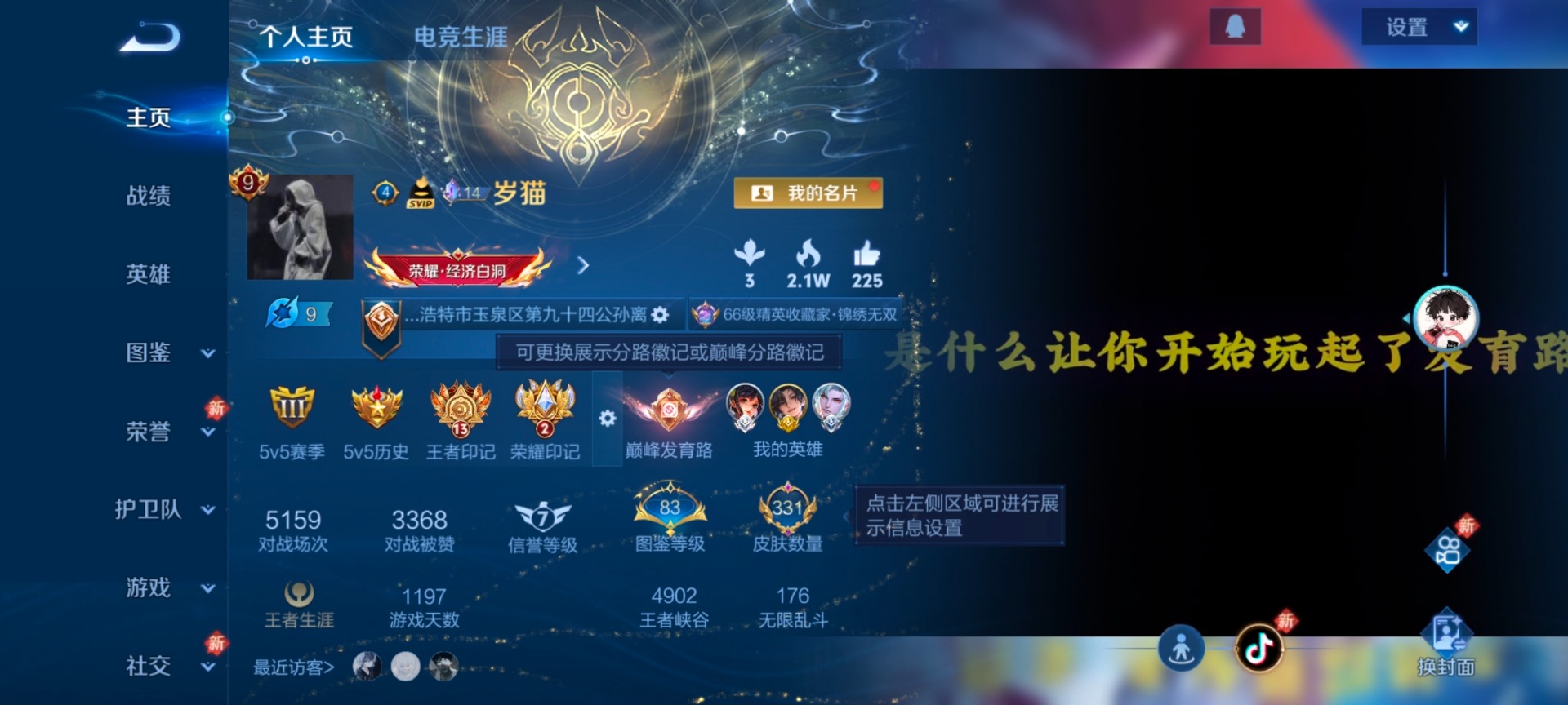 WZCMW447040王者荣耀账号详情图15