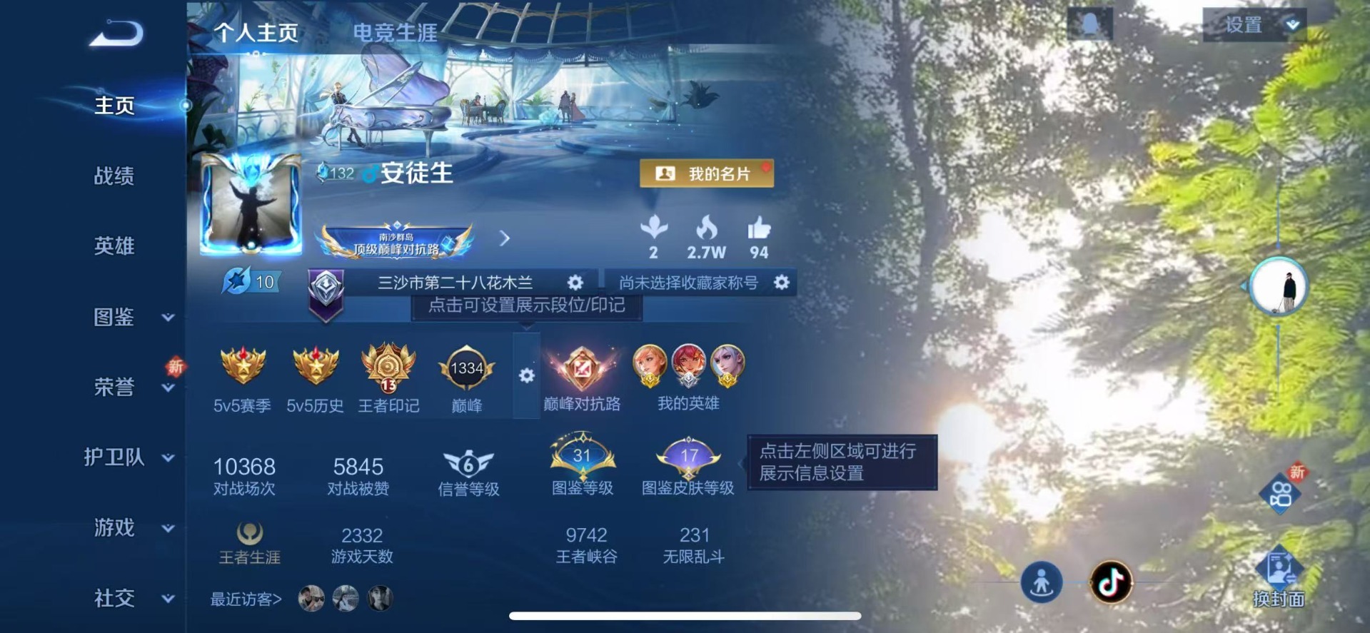 WZCMW453856王者荣耀账号详情图9