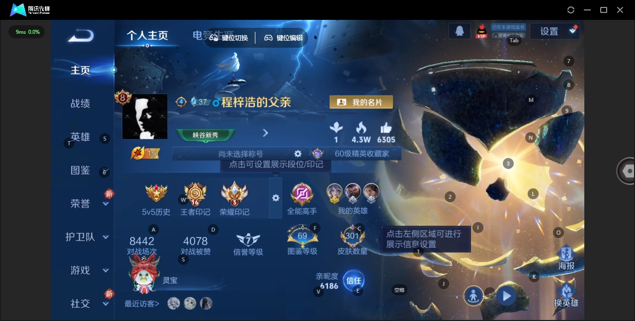 WZQM454293王者荣耀账号详情图19