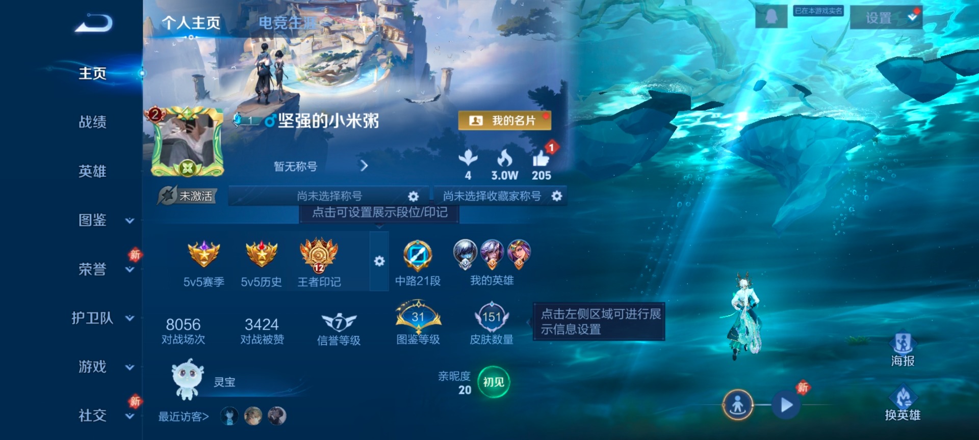 WZCMW454760王者荣耀账号详情图9