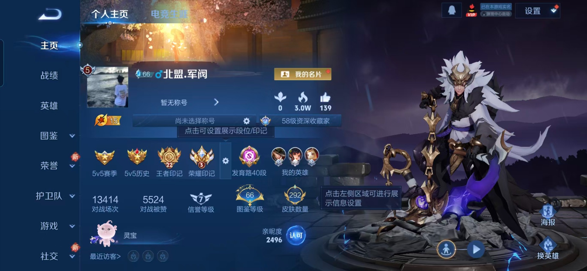 WZCMW460105王者荣耀账号详情图14