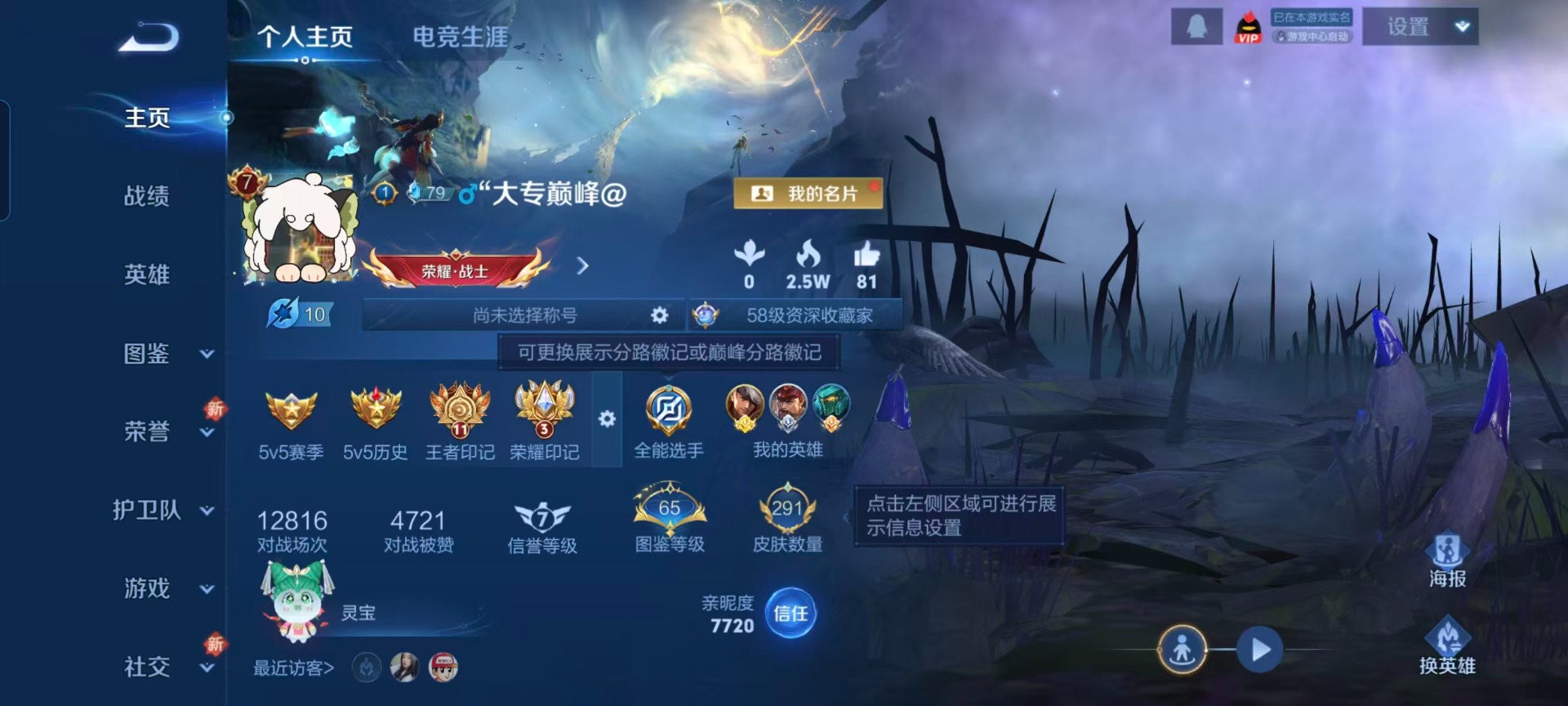 WZCMW460765王者荣耀账号详情图11