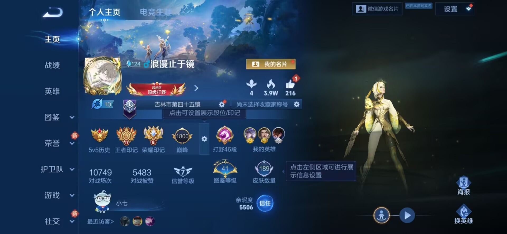 WZQM463116王者荣耀账号详情图11