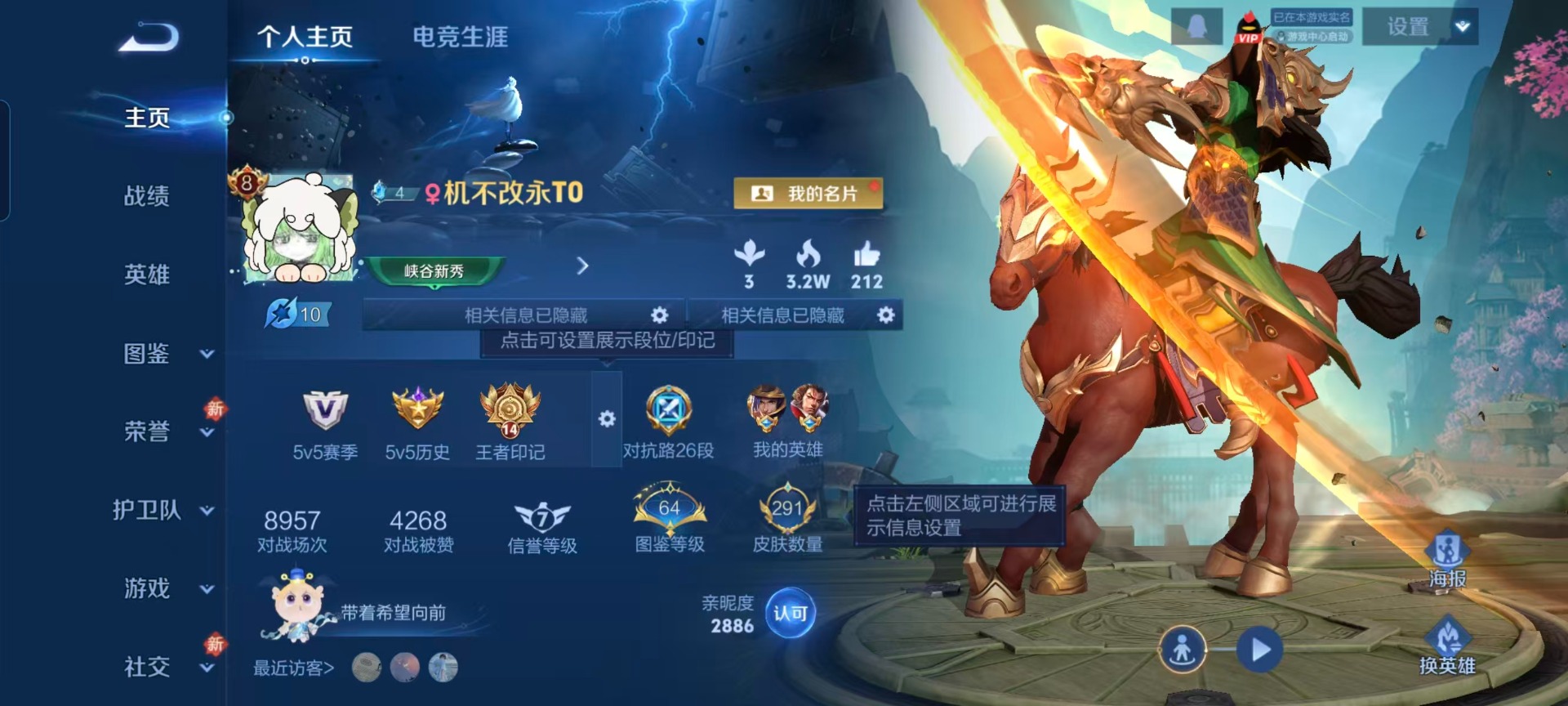 WZQM467990王者荣耀账号详情图16