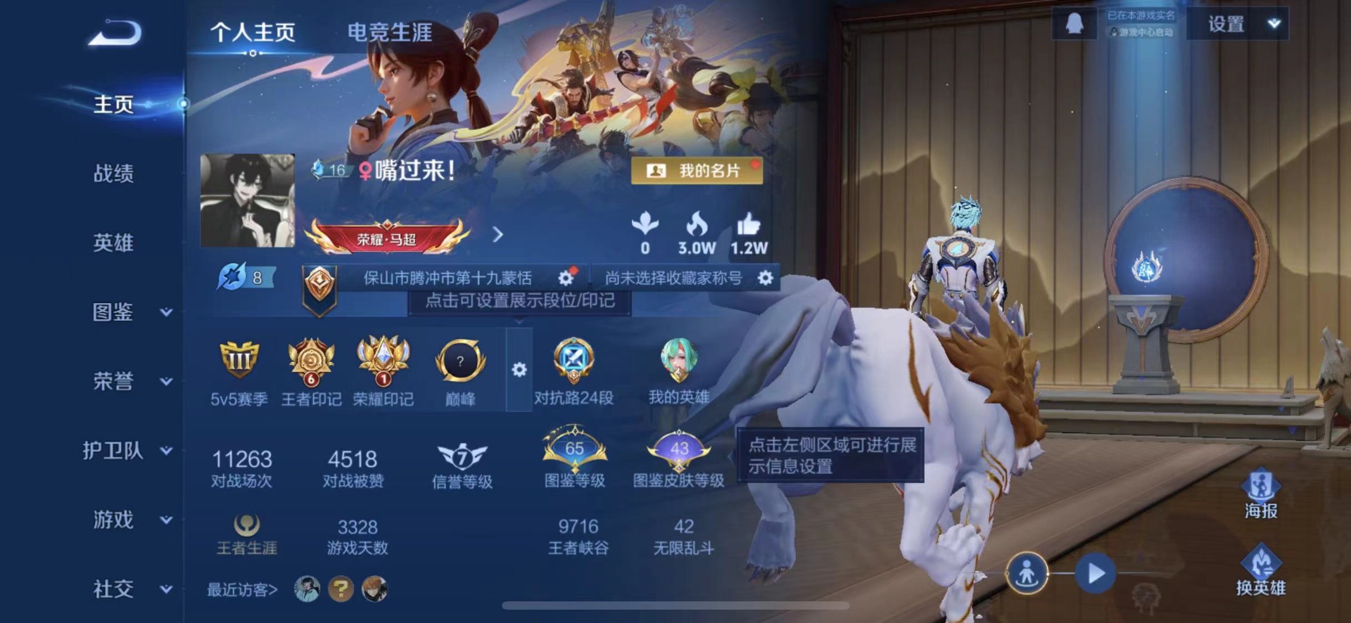 WZCMW471895王者荣耀账号详情图4