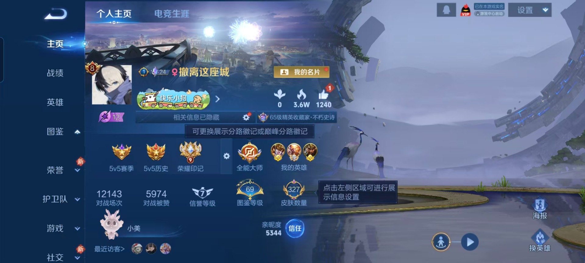 WZCMW477772王者荣耀账号详情图11