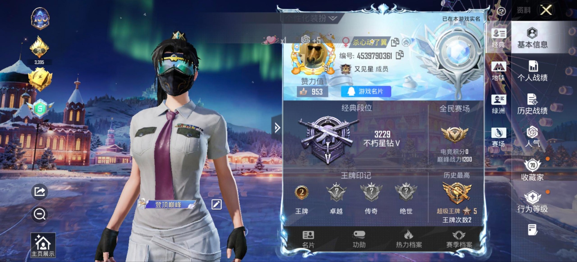 WZCMW480101王者荣耀账号详情图17 WZCMW480101王者荣耀账号详情图17