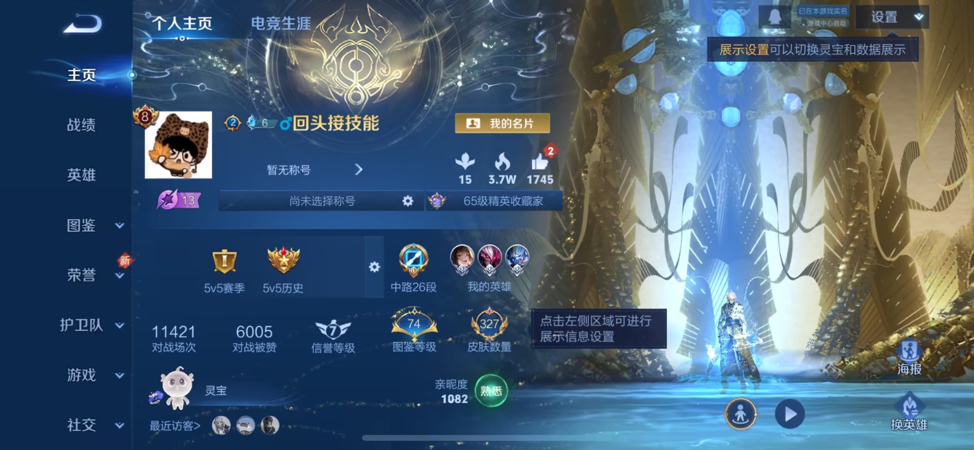 WZQM485272王者荣耀账号详情图13