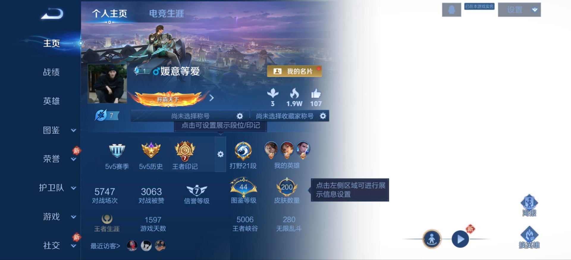 WZQM485588王者荣耀账号详情图9