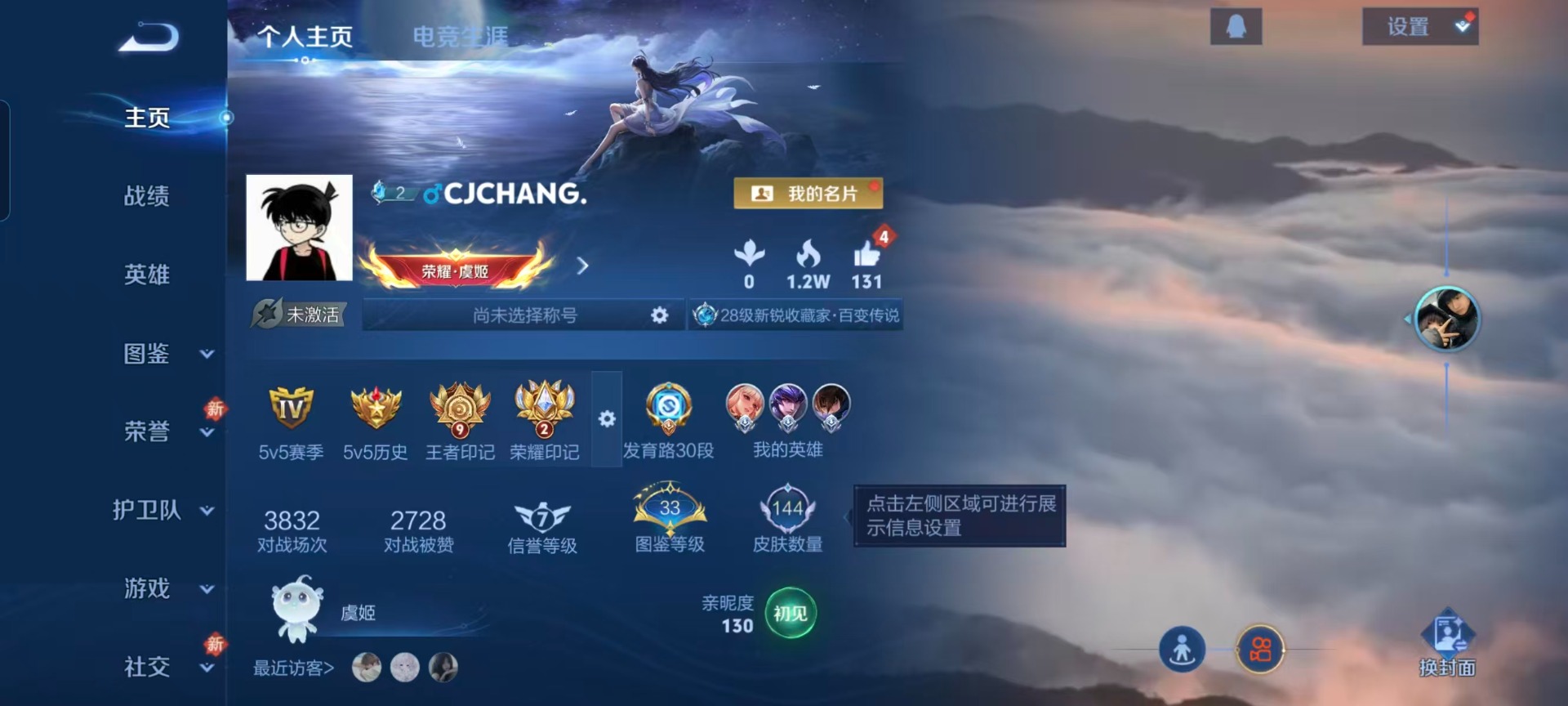 WZQM488393王者荣耀账号详情图4