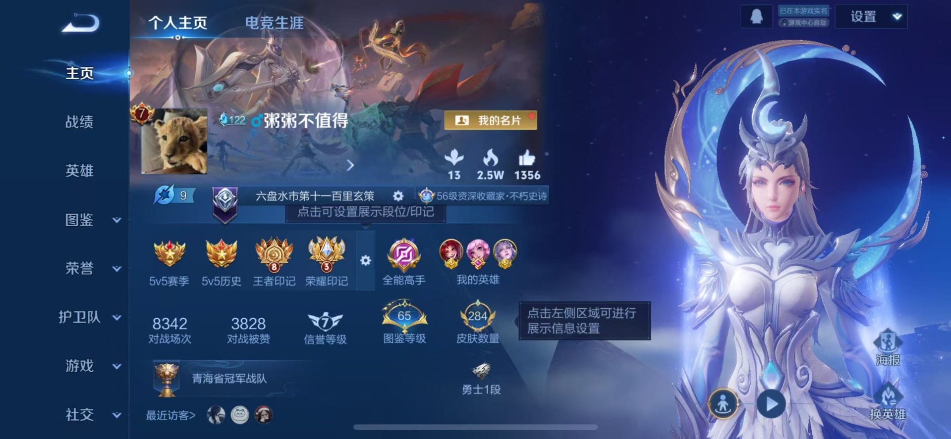 WZQM488795王者荣耀账号详情图14 WZQM488795王者荣耀账号详情图14