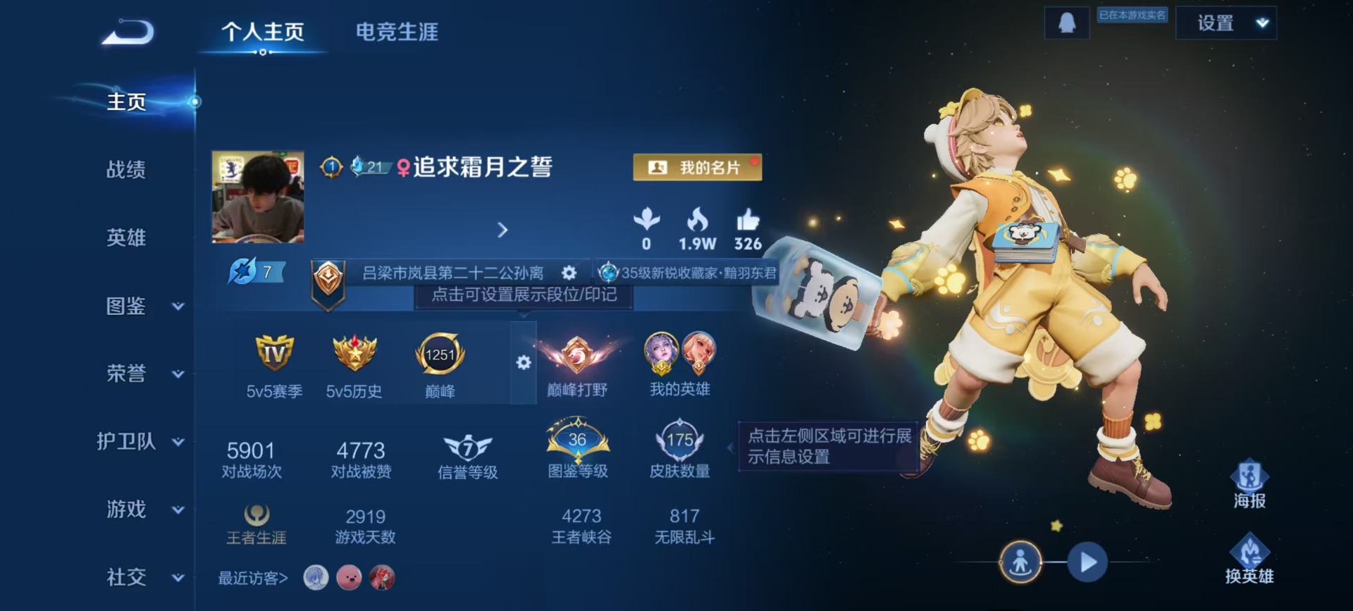 WZQM489051王者荣耀账号详情图12