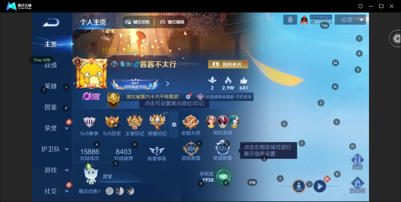 WZQM489066王者荣耀账号详情图4