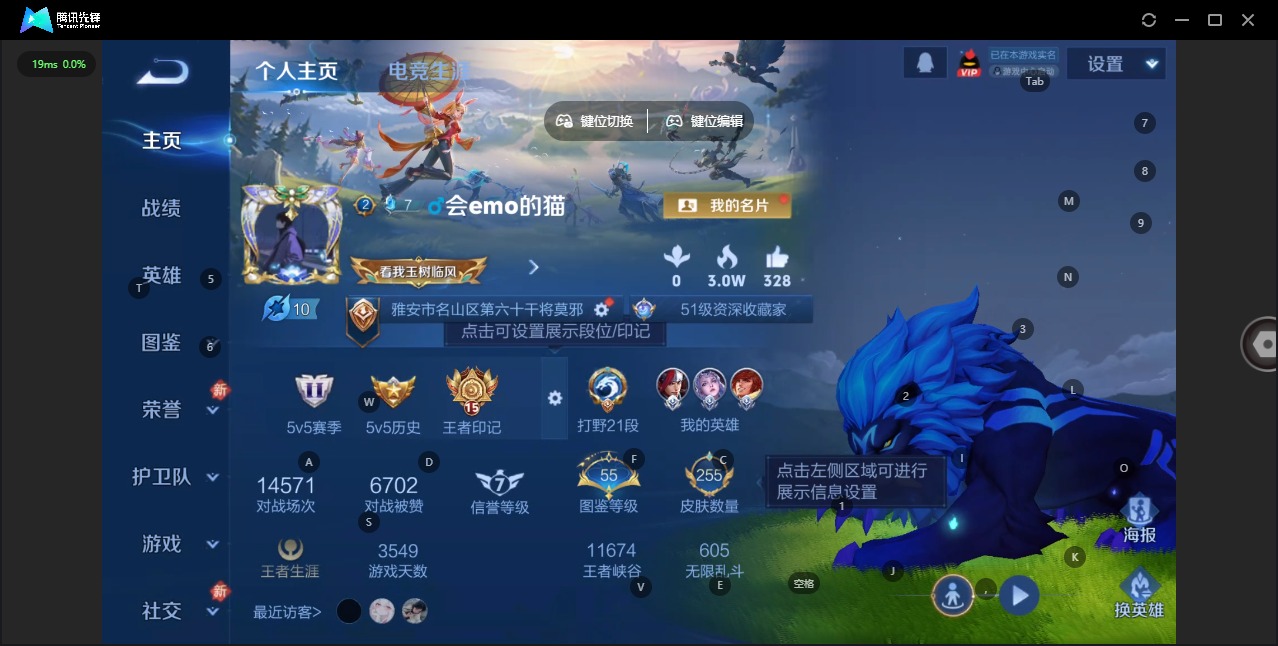 WZQM491233王者荣耀账号详情图8