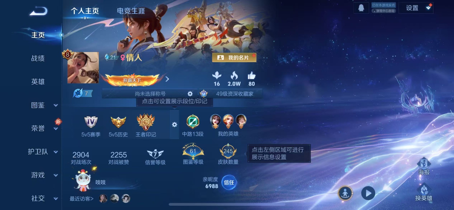 WZQM491991王者荣耀账号详情图16