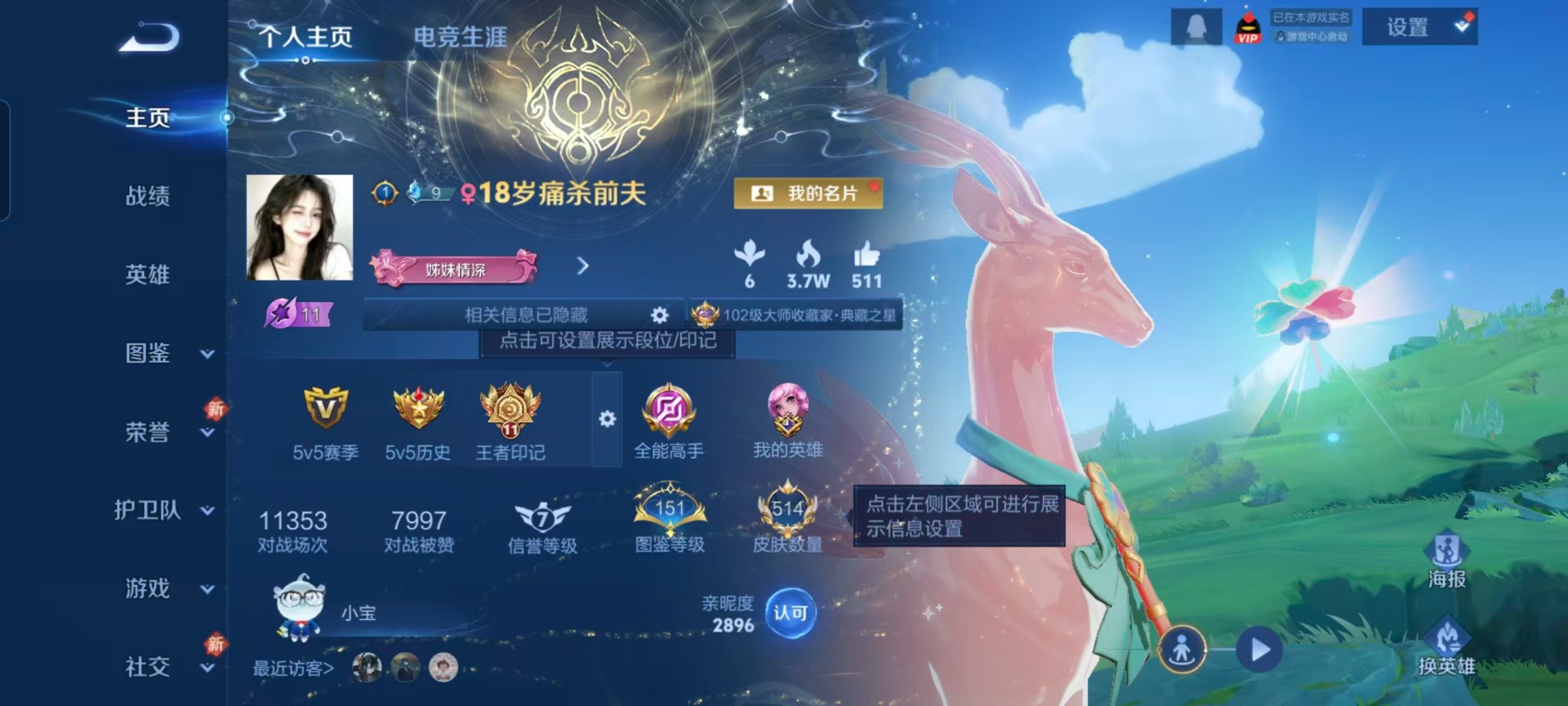 WZQM492828王者荣耀账号详情图19