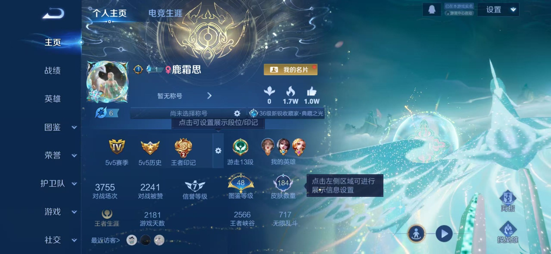 WZQM493462王者荣耀账号详情图16