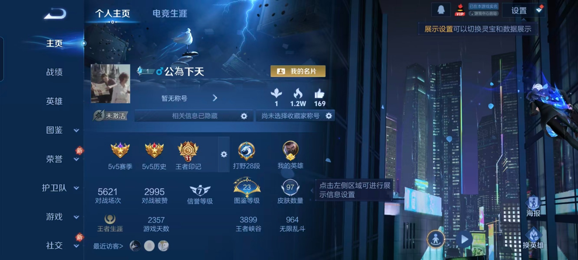 WZQM496981王者荣耀账号详情图11