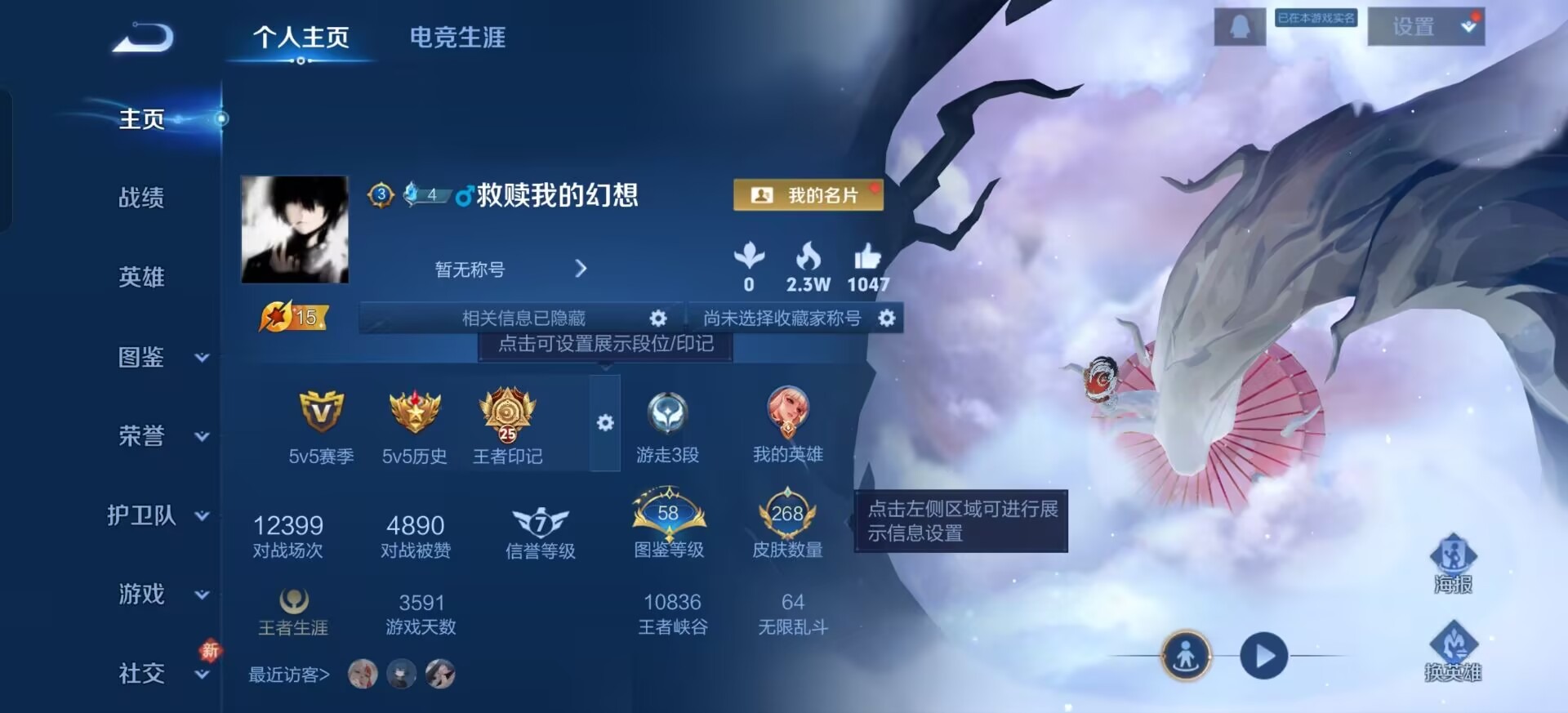 WZQM499887王者荣耀账号详情图14