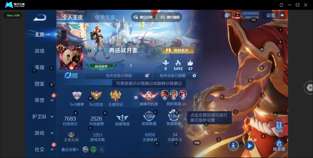 WZQM4100915王者荣耀账号详情图3 WZQM4100915王者荣耀账号详情图3