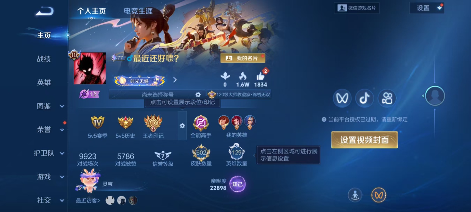 WZQM4102195王者荣耀账号详情图20