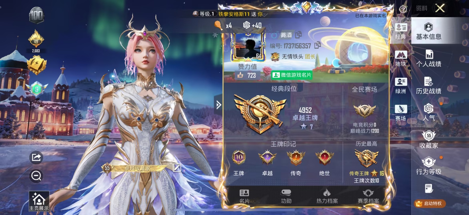 和平精英账号苹果微信0载具-96套装-149枪皮-[]3粉装 8特效枪 0.0载具 10印记 可二次 
【热门装扮】碧蓝