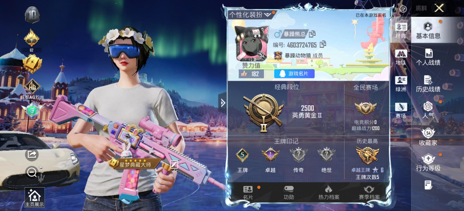 HPQM458997和平精英账号详情图17