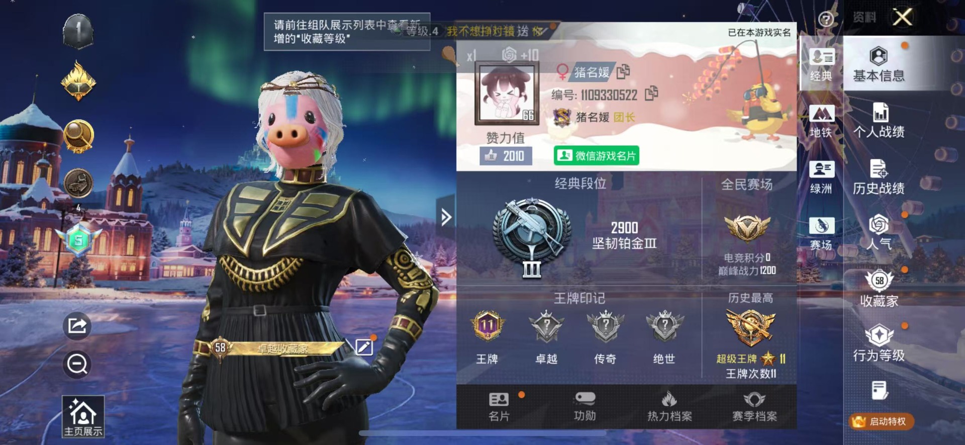 HPQM459239和平精英账号详情图26