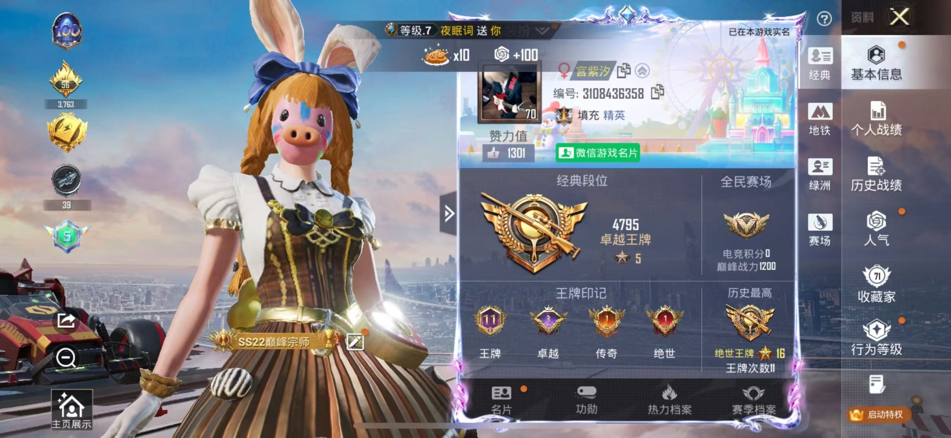 HPQM459848和平精英账号详情图35