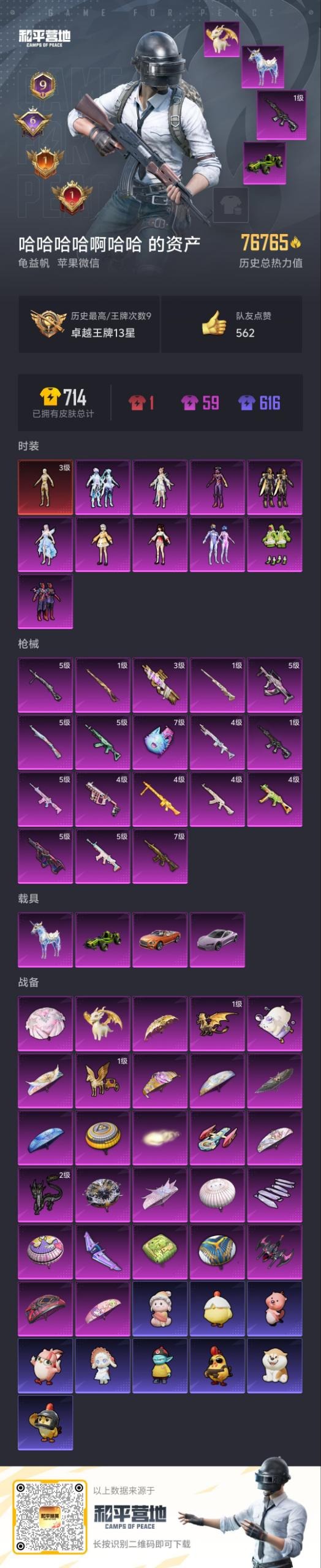 HPQM460376和平精英账号详情图19