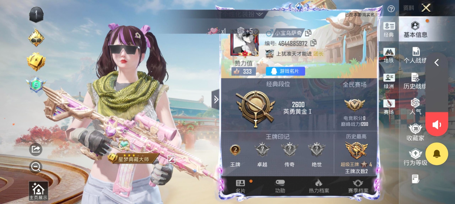 HPQM460466和平精英账号详情图8