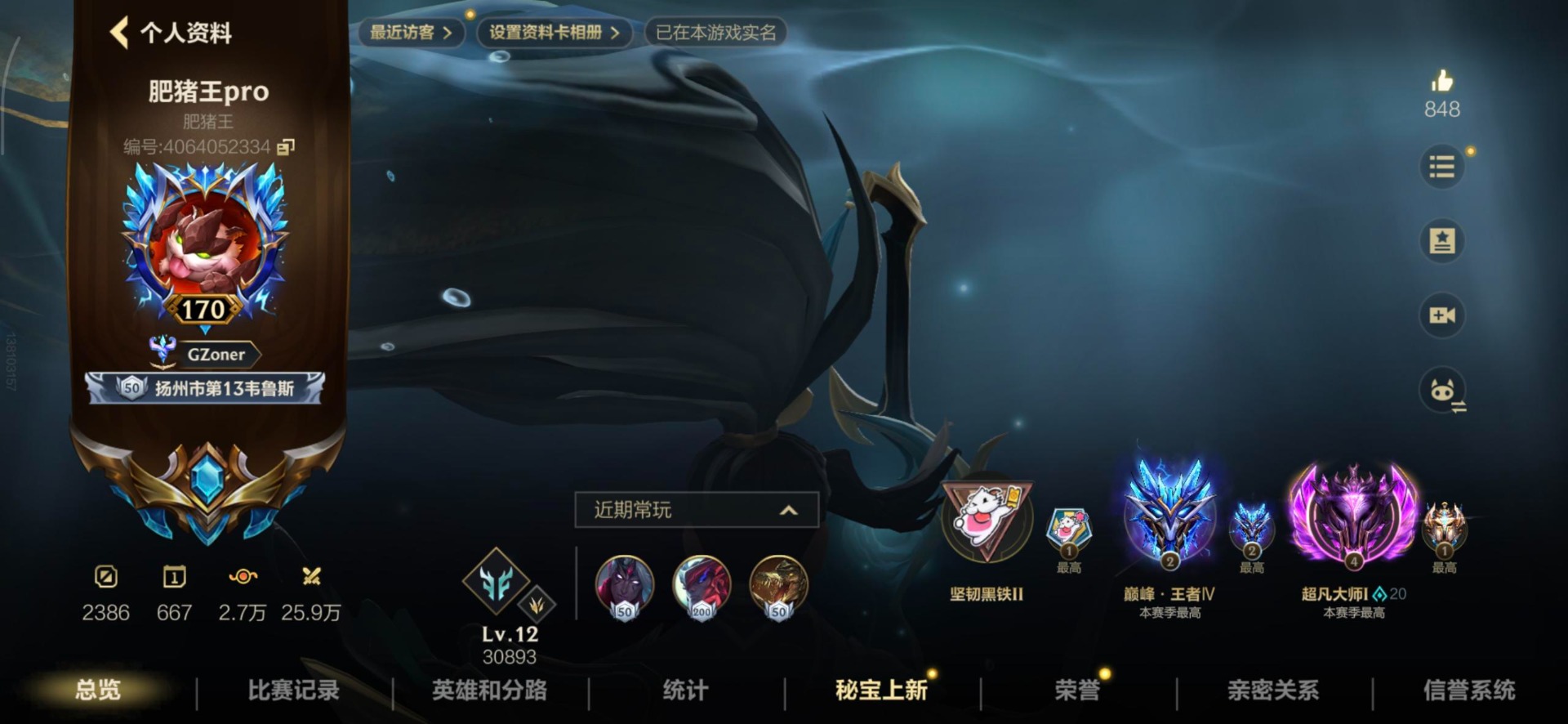 LOMQM40865LOL手游账号详情图16