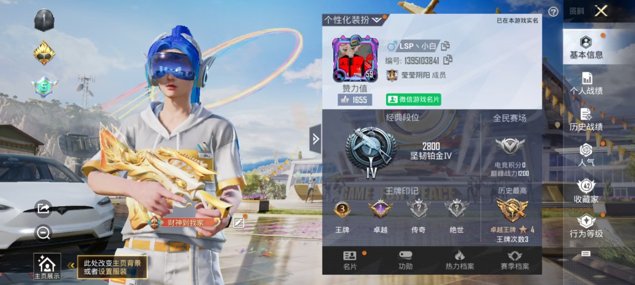 HPQM462411和平精英账号详情图7