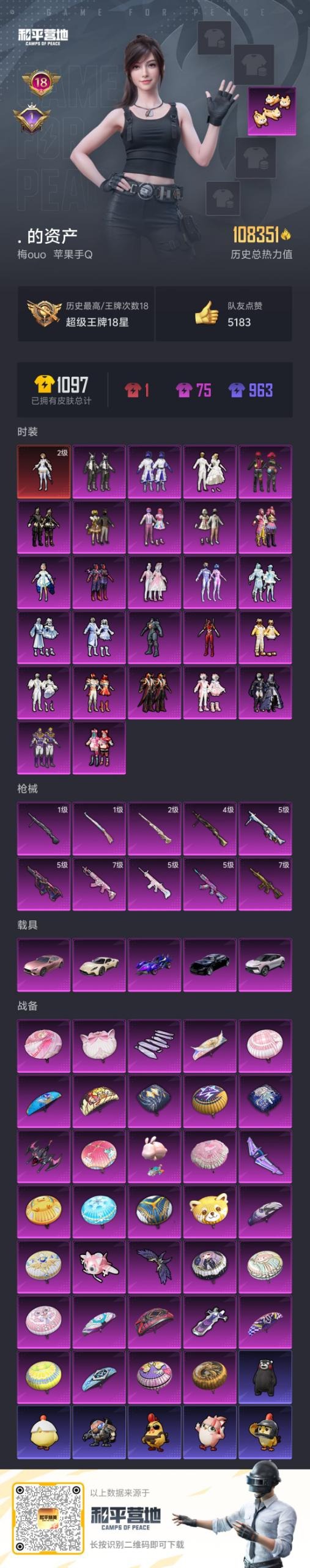 HPQM463889和平精英账号详情图15