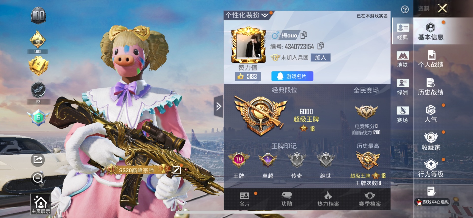 HPQM463889和平精英账号详情图32