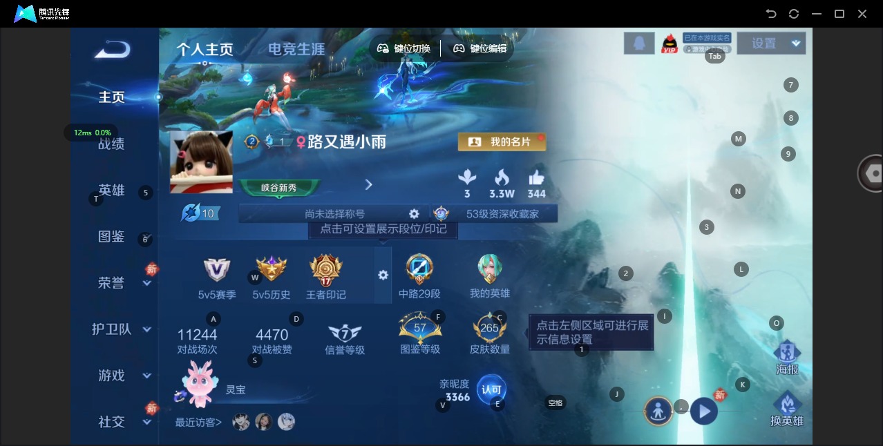 WZQM4118204王者荣耀账号详情图4