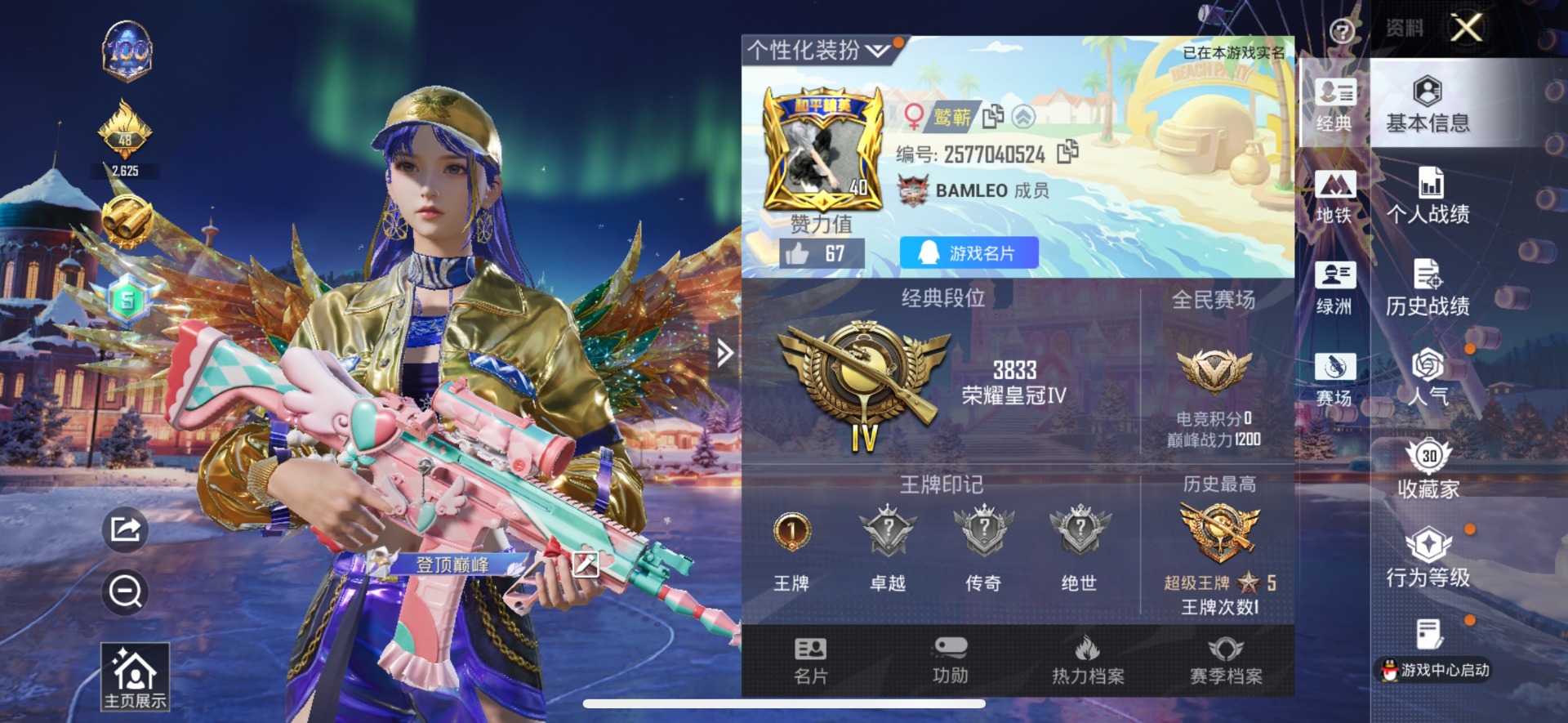 和平精英账号苹果QQ0载具-31套装-53枪皮-[]2粉装 2特效枪 0.0载具 1印记 可二次 
【热门装扮】绿野极光