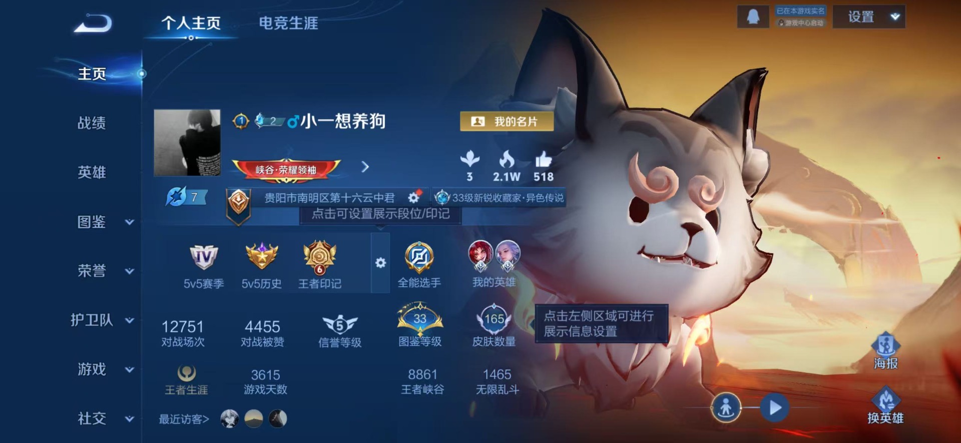 WZQM4125101王者荣耀账号详情图13