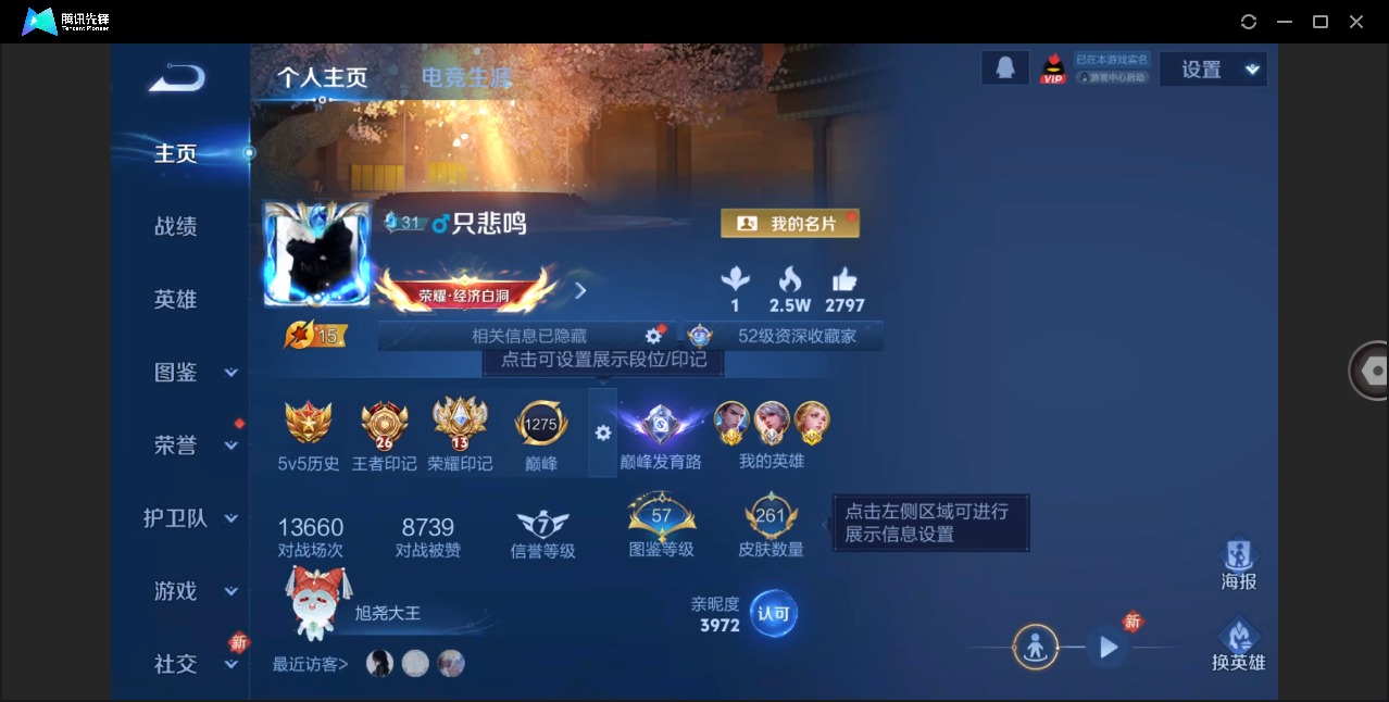 WZQM4135083王者荣耀账号详情图4