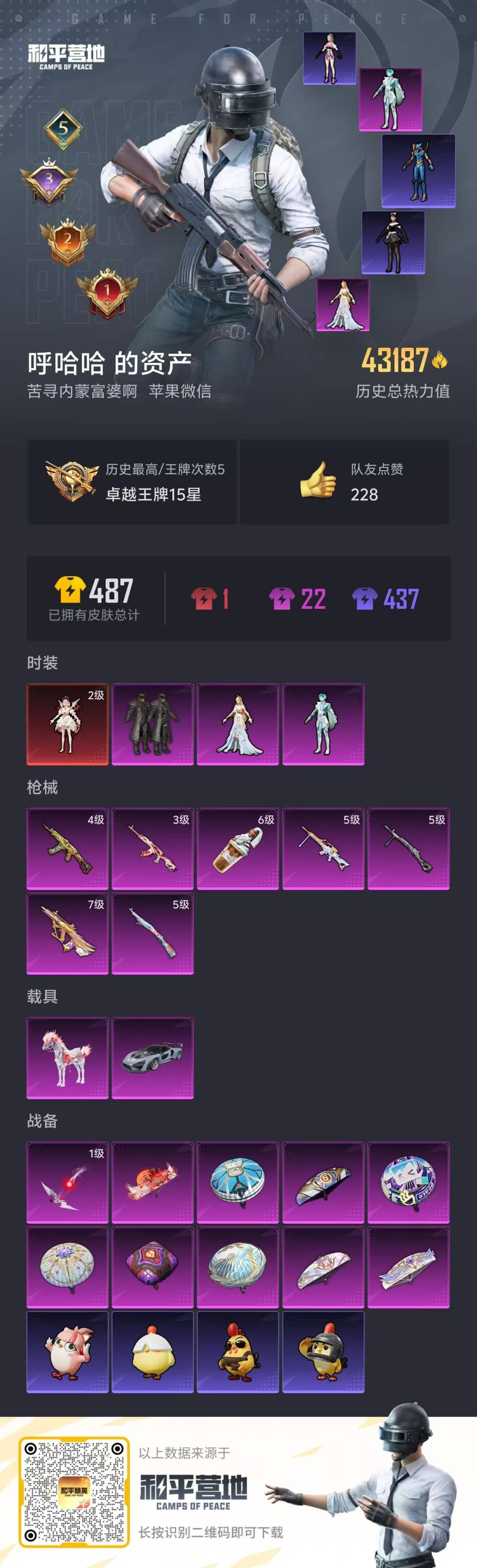 HPQM4115910和平精英账号详情图24