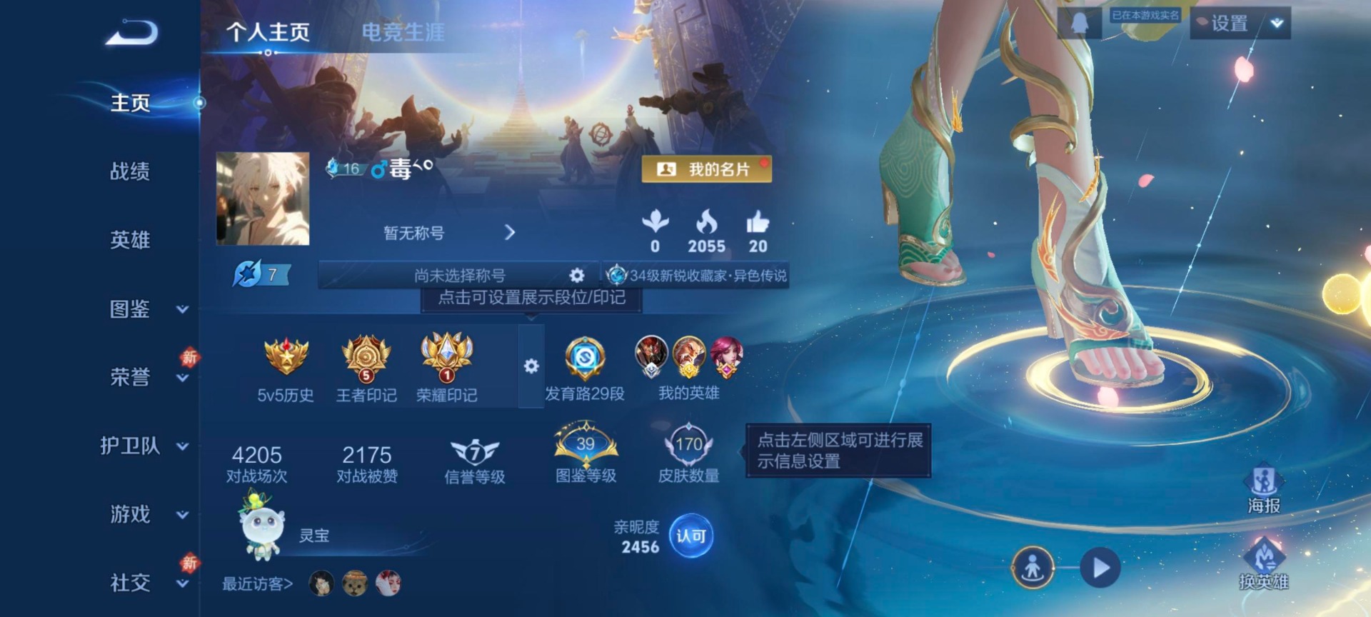 WZCMW4185635王者荣耀账号详情图13