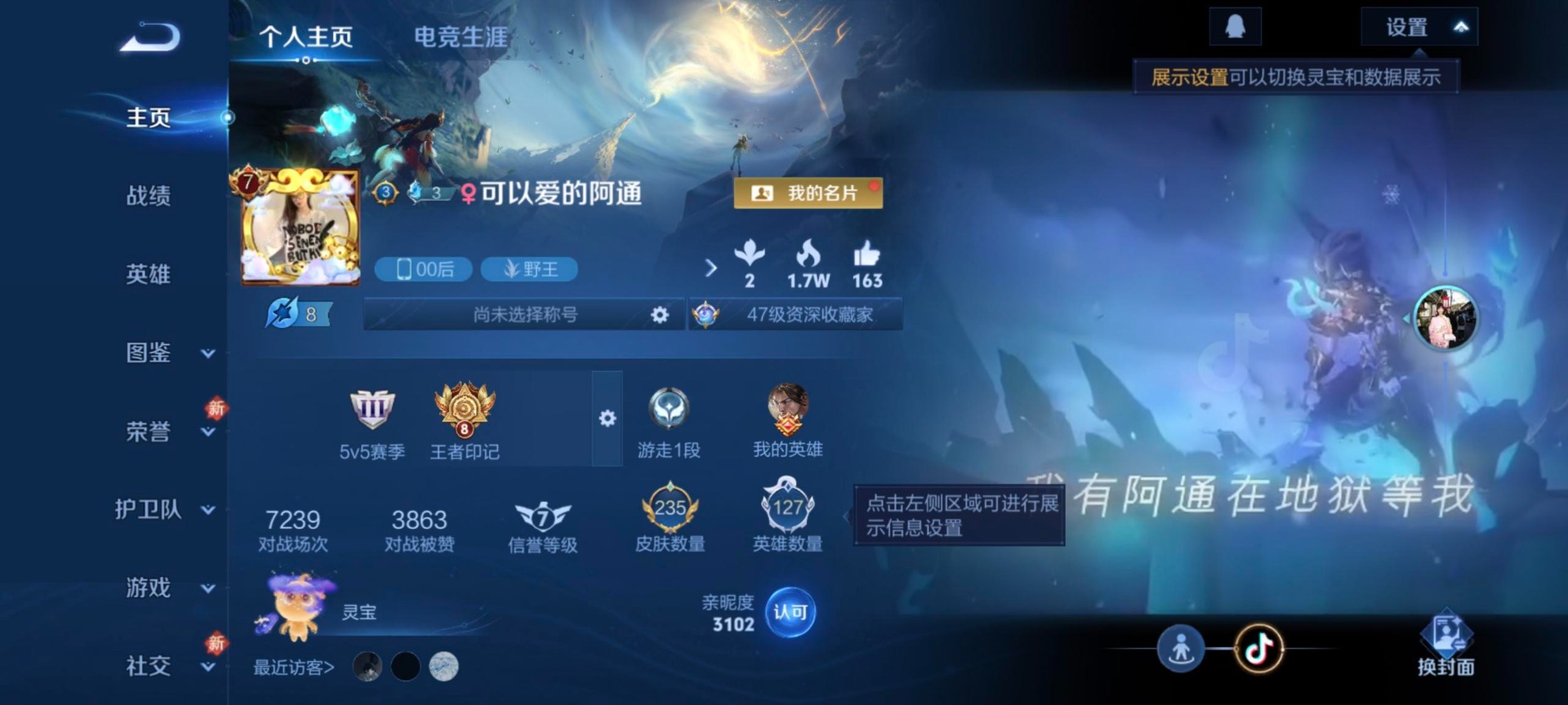 WZCMW4162787王者荣耀账号详情图9